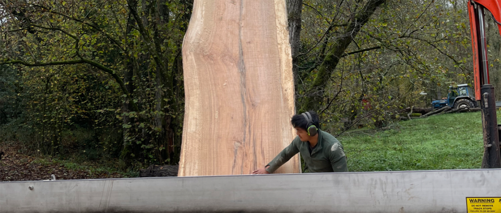 the great oak table
