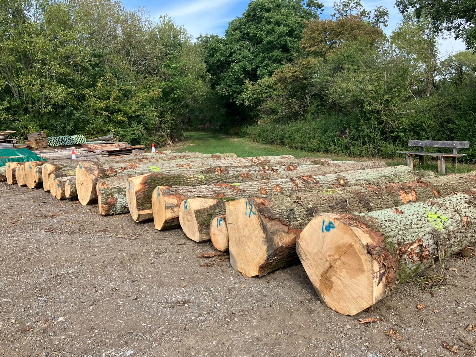 Numbered logs beside woodland in Bedfordshire