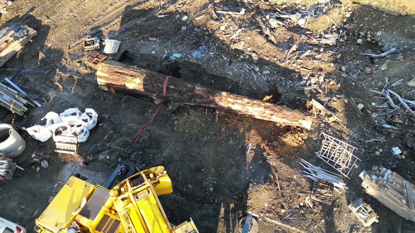 A log seen from above in a working yard