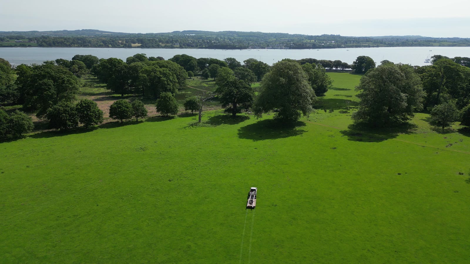 Trees and fields seen from above