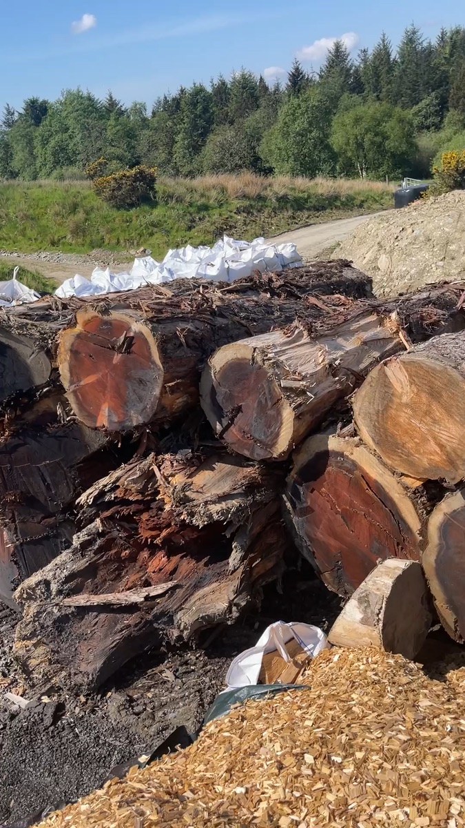 Log sections, bark and loose wood material in an outdoor yard